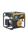 Gasoline generator PEZAL PGG3100X | Valeon