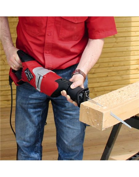 Пила сабельная Einhell TE-AP 950 E